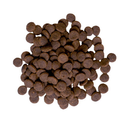 KARMA SUCHA Z JAGNIĘCINĄ BULT DLA DOROSŁYCH PSÓW MAŁYCH RAS 500g