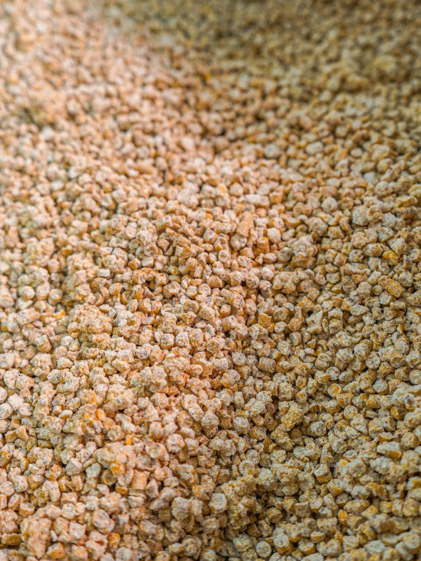 Super Benek Kukurydziany żwirek dla kotów 2x5L CORN CAT zbrylający (10L)
