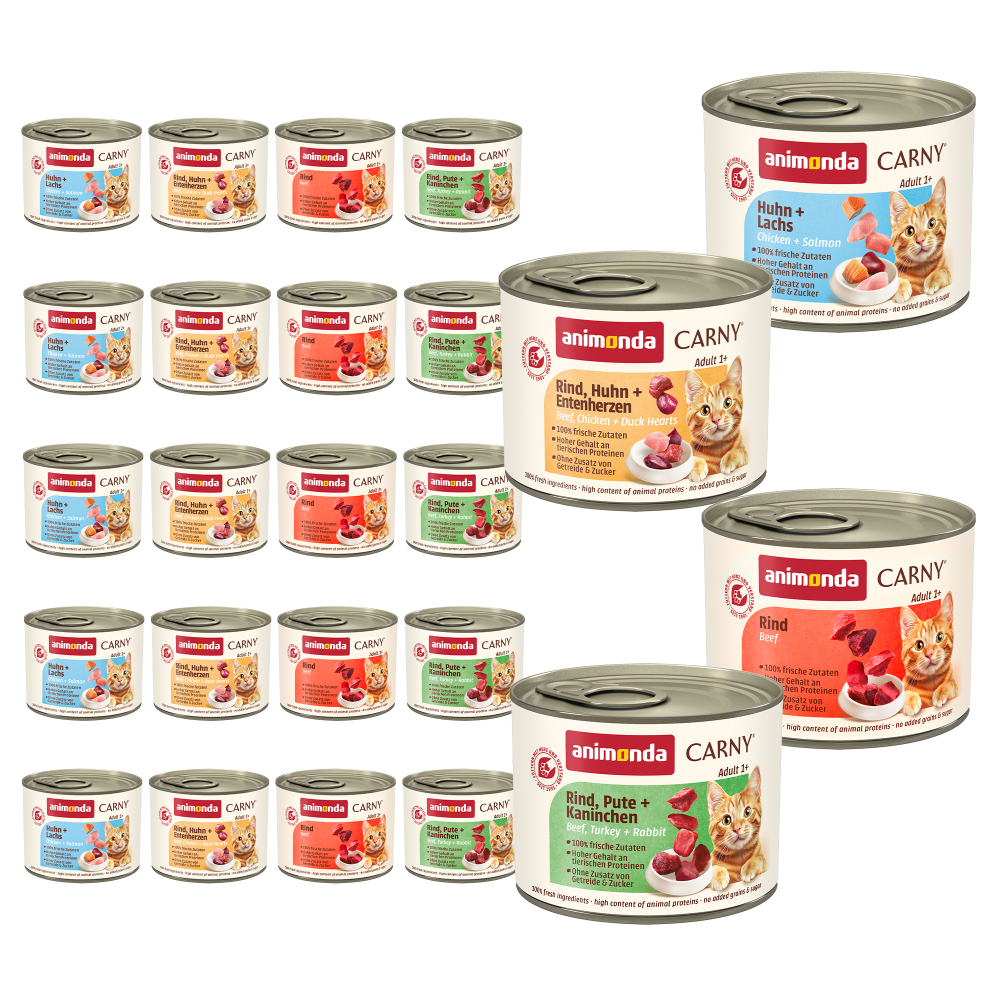 Animonda Carny wet cat food Variety Pack 20x200g cans