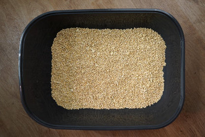 Super Benek Kukurydziany żwirek dla kotów 2x5L CORN CAT zbrylający (10L)