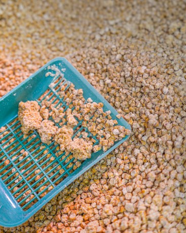 Super Benek Kukurydziany żwirek dla kotów 4x5L CORN CAT zbrylający (20L)
